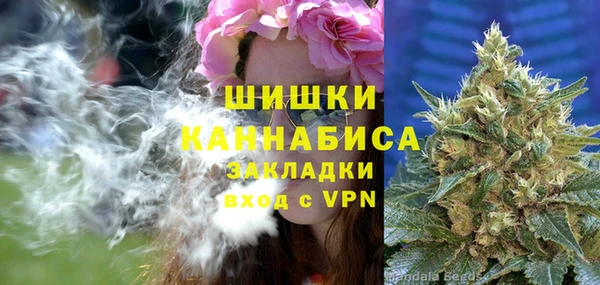 винт Белокуриха